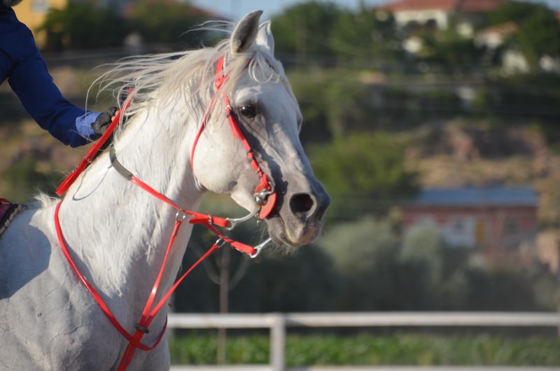 İndirimli Spor Salonları İndirimli Spor Salonları